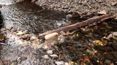 Su doğada kayaların ve kütüklerin üzerinden akar.