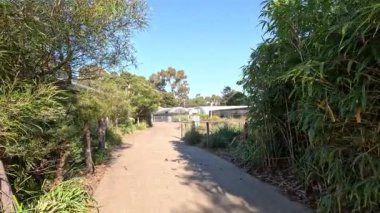 Melbourne Hayvanat Bahçesinde huzurlu bir yürüyüş