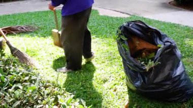 Bahçede toplanan ve paketlenen yapraklar