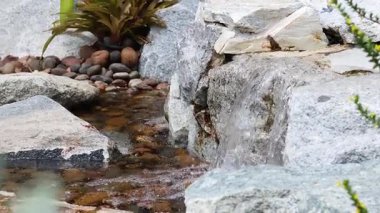 Kayaların ve bitkilerin üzerinden akan küçük şelale