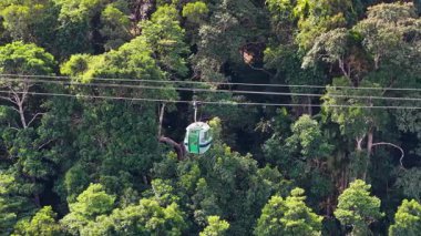 Kablolu arabalar yoğun yağmur ormanlarında süzülüyor, canlı yeşillik ve dingin doğal güzellik manzaraları sunuyorlar.
