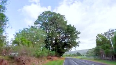 Büyük Okyanus Yolu boyunca sakin bir yolculuk, bereketli ormanlar ve doğal gün ışığı altında geniş gökyüzü.