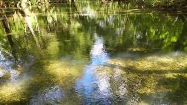 Sakin bir nehir, yoğun bir ormanın içinden akar. Güneş ışığı, suyun yüzeyinde parıldayan yansımalar yaratır.
