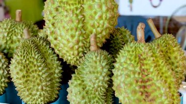 Yüzen bir pazarda sergilenen taze durianlar