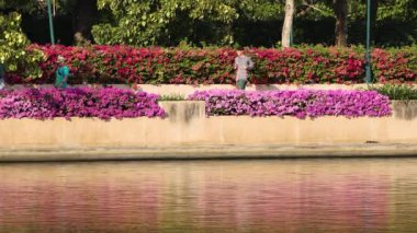 Renkli çiçekler, dingin bir nehir kenarında çiçek açar..