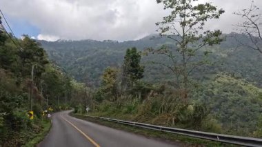 Dönek bir dağ yolunda seyahat ederken