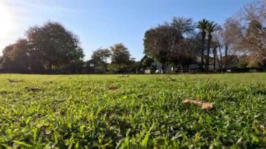 Ağaçlar ve güneş ışığı olan otlak bir alan.