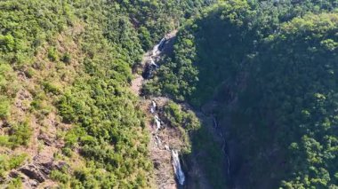 Drone görüntülerinde parlak gün ışığında Avustralya 'nın Port Douglas kentinde canlı bir yağmur ormanı tepe örtüsü ve çağlayan bir şelale görülüyor.
