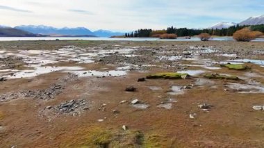 İnsansız hava aracı, Tekapo Gölü 'nün kayalık kıyı şeridini ve sonbahar yapraklarını gün ışığında yakalıyor.