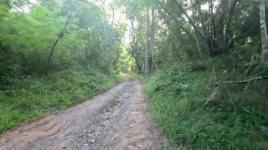 Yeşillik bir ormanda çakıllı bir yolda ilerleme..