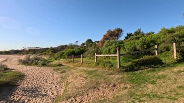 Bereketli yeşilliği olan sakin bir sahil yolu.