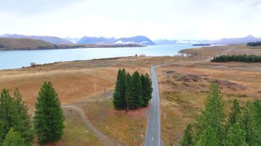Havadan çekilen görüntülerde, Tekapo Gölü 'ne uzanan ağaçlarla çevrili sakin bir yol görülüyor. Yumuşak, doğal ışıklandırma altında.
