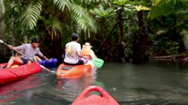 Krabi, Tayland 'daki yemyeşil kanallarda kürek çekmek