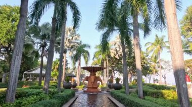 Berrak bir palmiye bahçesinde huzurlu bir çeşme
