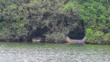 Sakin bir nehir manzarasının durağan görüntüsü