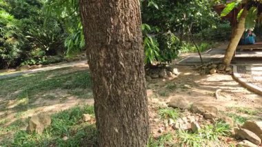 Yeşil parkta ağaçların altında sallanan kişi