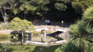 Huzurlu bir bahçede insanlar köprüden geçiyor.