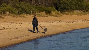 Bir kadın köpeğini deniz kenarında gezdirir.