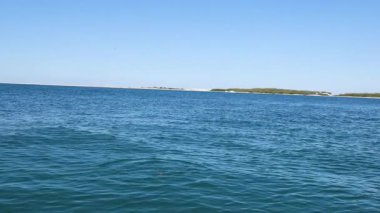 Sakin okyanus dalgaları berrak mavi gökyüzü altında