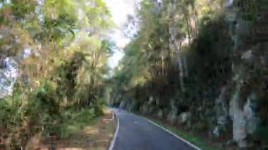 Yemyeşil orman manzarasında dolambaçlı yol