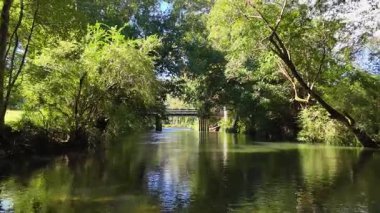Bellingen, NSW 'de sakin bir nehir manzarası, yemyeşil bir sergi ve yumuşak güneş ışığı altında kırsal bir köprü