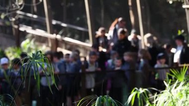 Çocuklar ve yetişkinler hayvanat bahçesi köprüsünde