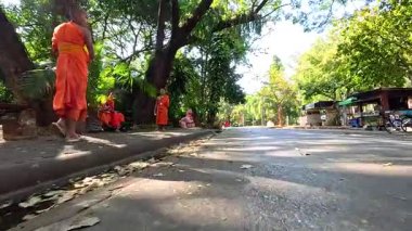 Huzurlu bir hayvanat bahçesinde huzur içinde yürüyen keşişler.
