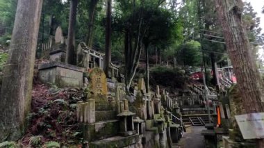 Geleneksel bir Japon mezarlığında huzurlu bir gezinti.