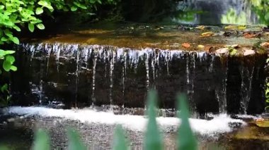 Yeşilliklerle çevrili sakin bir şelale.