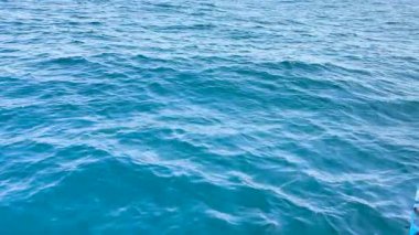 Chalong Körfezi 'nde sakin bir balıkçılık deneyimi, sakin mavi okyanusu yakalamak ve balıkçılığa odaklanmak.