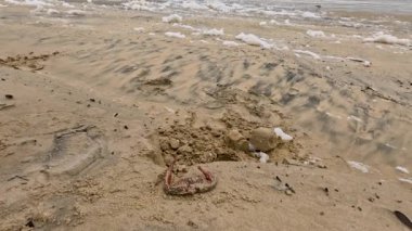 Okyanus köpüğüyle fırtınalı bir sahil sahnesi ve bulutlu bir gökyüzü altında çalkantılı dalgalar doğanın ham gücünü yakalıyor.