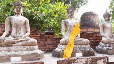 Sarı kuşaklı Buda heykelleri.