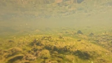 Sudan kayalık araziye geçişi gösteren bir video