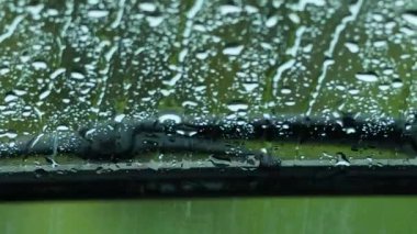 Melbourne 'da damlayan yağmur damlaları