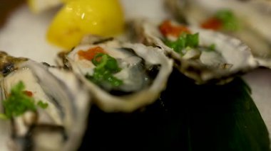 Limonlu ve garnitürlü istiridye yakın plan.