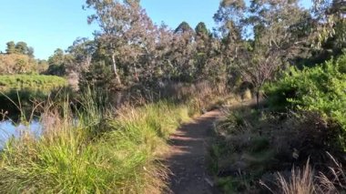 Bereketli yeşillikte huzurlu bir yol