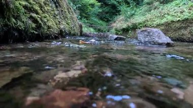 Akan bir akarsuyun sualtı görüntüsü