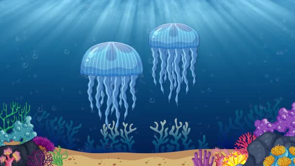 Depicts stages of jellyfish life cycle