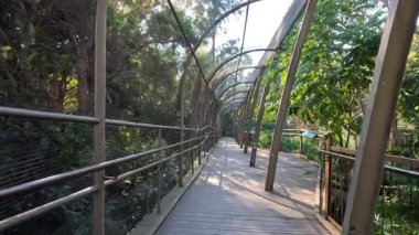 Huzurlu bir yürüyüş bir kuşun içinde