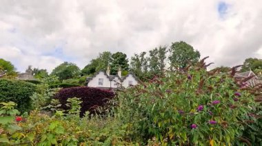 Arkasında bir ev olan canlı bir bahçe.