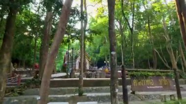 Bereketli ormanlık alanda manzaralı bir gezinti.