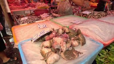 Kalabalık bir pazarda renkli sebze tezgahı