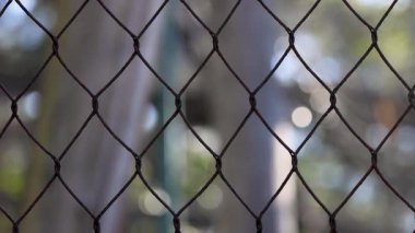 Hayvanat bahçesi çitlerinin ardında bulanık bir manzara