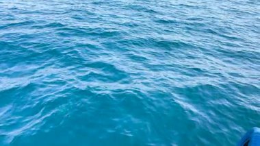 Phuket 'in Chalong Koyu' ndaki bir tekne, berrak mavi sular ve canlı deniz canlılarıyla bir balıkçılık anı yakalıyor.