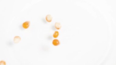 Patlamış mısır çekirdekleri yakın çekim, makro görünüm, parlak ışıklandırma dokusu ve hareketi vurguluyor