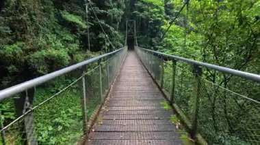 Dorrigo 'nun yemyeşil yağmur ormanlarındaki asma köprüde sakin bir yürüyüş, canlı yeşillik ve doğal ışıklandırmayla ağır çekimde yakalanır.