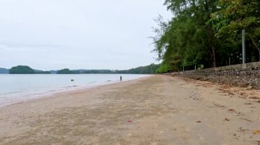 Tayland, Krabi 'de sakin plajda yalnız yürüyen biri.