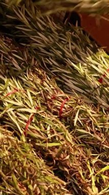 Bir el, sıcak ışık altında biberiye demetleri topluyor, süpermarket ortamında taze otlar sergiliyor.