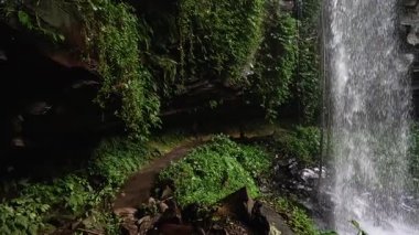 Dorrigo Ulusal Parkı 'ndaki yemyeşil şelaleler arasında sakin bir şelale, düzgün kamera hareketleri ve doğal ışıklandırmayla yakalanır.