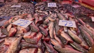 Fiyat etiketli çeşitli balıklar